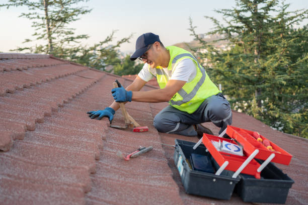 Best Roof Gutter Cleaning  in Hettinger, ND