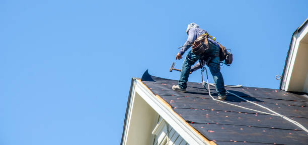 Best Roof Repair Services  in Hettinger, ND